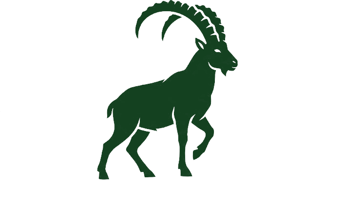 Stambecco Holdings — alpine ibex logo